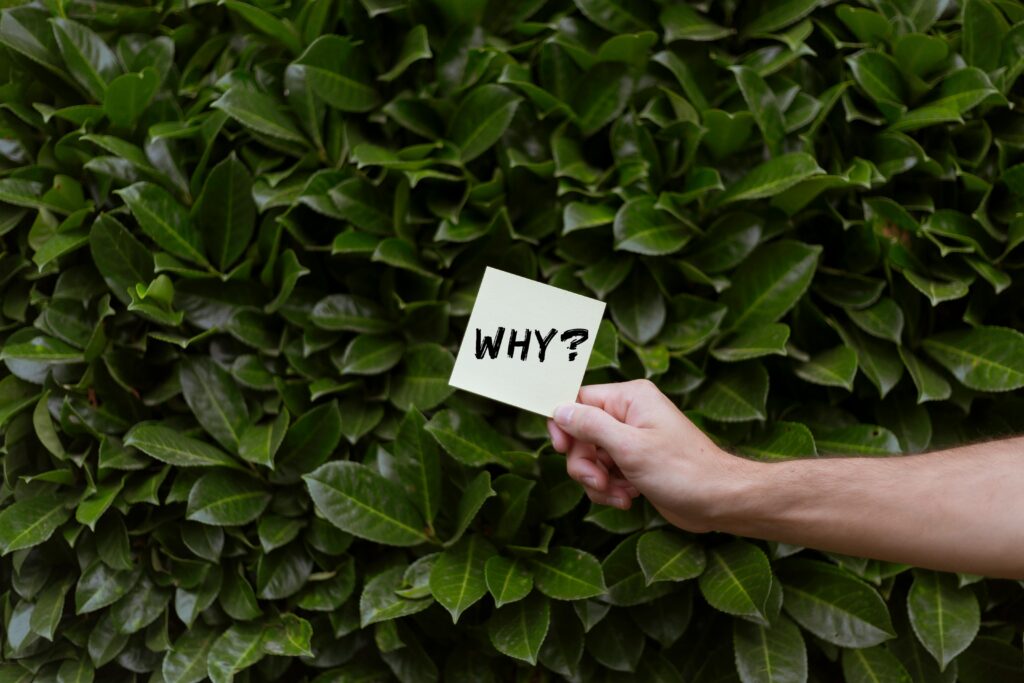 A hand holding a note with the word 'WHY?' against a backdrop of green leaves.